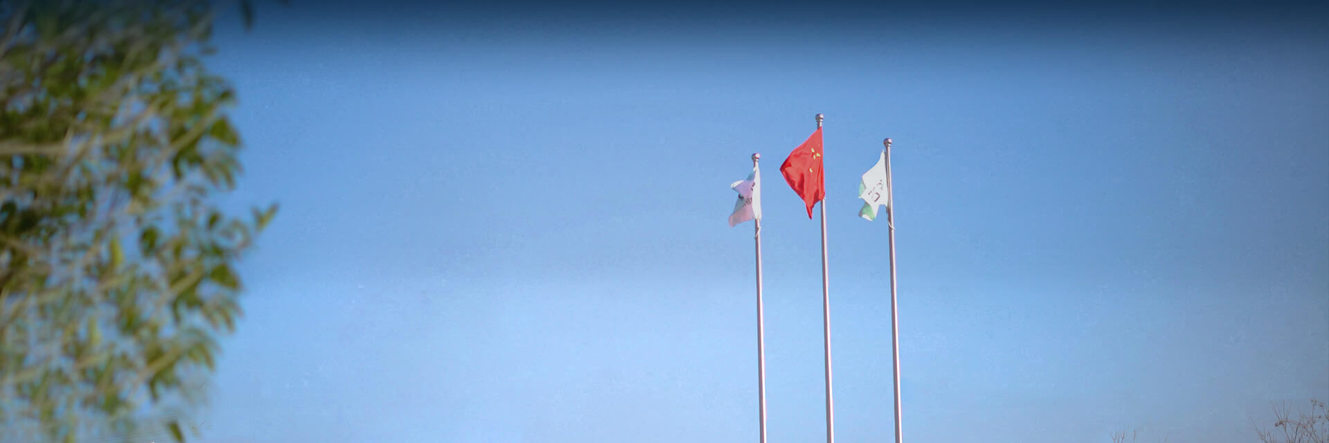 �Ļ�����